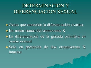 DETERMINACION Y
DIFERENCIACION SEXUAL
 Genes que controlan la diferenciación ovárica
 En ambas ramas del cromosoma X
 La diferenciación de la gónada primitiva en
ovario normal
 Solo en presencia de dos cromosomas X
intactos.
 