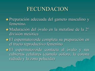 FECUNDACION
 Preparación adecuada del gameto masculino y
femenino.
 Maduración del óvulo en la metafase de la 2°
división meiótica
 El espermatozoide completa su preparación en
el tracto reproductivo femenino
 El espermatozoide contacta al óvulo y sus
cubiertas celulares (cúmulo oóforo, la corona
radiada y la zona pelúcida)
 