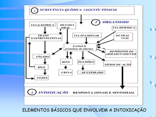 SUBSTÂNCIA QUÍMICA (AGENTE TÓXICO) 
2 ORGANISMO 
1 
VIA GÁSTRICA MUCOSA 
ORAL VIA DÉRMICA 
TRATO VIA PULMONAR OUTRAS 
GASTRINTESTINAL VIAS 
SANGUE 
proteínas do plasma 
DEPÓSITOS DE 
ARMAZENAMENTO 
FÍGADO 
RINS PULMÕES 
SÍTIOS DE AÇÃO 
BILE 
URINA AR EXPIRADO 
FEZES 
3 INTOXICAÇÃO RESPOSTA (SINAIS E SINTOMAS) 
ELEMENTOS BÁSICOS QUE ENVOLVEM A INTOXICAÇÃO 
 