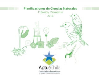 Planificaciones de Ciencias Naturales
1º
Básico, I Semestre
2013
 