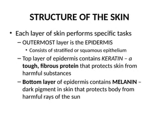 Introduction to basic skin lesion_PharmD.pptx