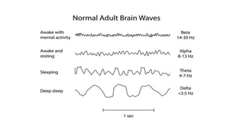 1 basics of eeg and fundamentals of its measurement | PPTX
