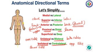 above below
front back
Colar
upper lower
oneside bothsides
same
opp side
 