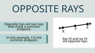 Comprehensive Introduction to Basic Geometry Terms for Grade 9 Students ...