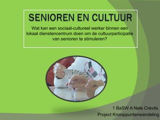 1 BaSW A Nele Crevits  Project Knooppuntenwandeling Wat kan een sociaal-cultureel werker binnen een lokaal dienstencentrum doen om de cultuurparticipatie van senioren te stimuleren? 