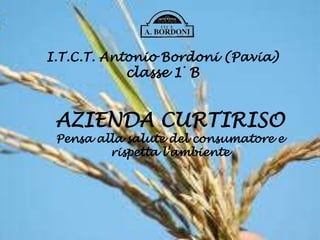 I.T.C.T. Antonio Bordoni (Pavia)
classe 1° B
AZIENDA CURTIRISO
Pensa alla salute del consumatore e
rispetta l’ambiente
 