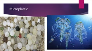 Microplastic
 