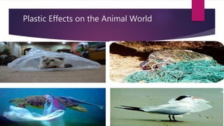Plastic Effects on the Animal World
 