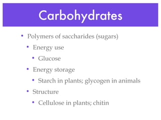 Carbohydrates Polymers of saccharides (sugars) Energy use Glucose Energy storage Starch in plants; glycogen in animals Structure Cellulose in plants; chitin 