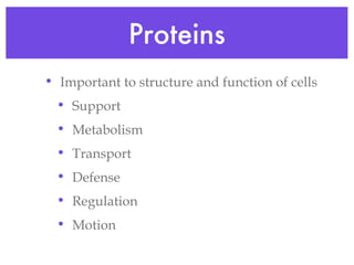 Proteins Important to structure and function of cells Support Metabolism  Transport Defense Regulation Motion 