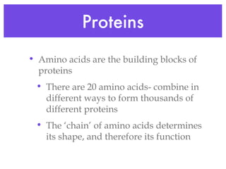 Proteins Amino acids are the building blocks of proteins There are 20 amino acids- combine in different ways to form thousands of different proteins The ‘chain’ of amino acids determines its shape, and therefore its function 
