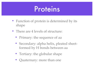 Proteins Function of protein is determined by its shape There are 4 levels of structure: Primary: the sequence of aa Secondary: alpha helix, pleated sheet- formed by H bonds between aa Tertiary: the globular shape Quaternary: more than one  
