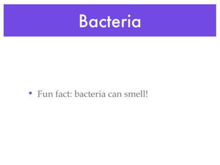 Bacteria Fun fact: bacteria can smell! 