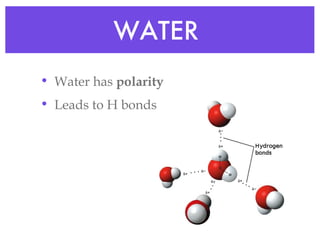 WATER  Water has  polarity Leads to H bonds  