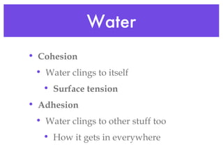 Water Cohesion Water clings to itself Surface tension Adhesion Water clings to other stuff too How it gets in everywhere 
