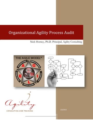1
1/6/2013
Organizational Agility Process Audit
Nick Horney, Ph.D. Principal, Agility Consulting
 