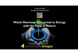 20 Years of MSCA
Brussels 29th November 2016
Waste Nutrients Converted to Energy
with the Help of Nature
Francesco Ometto, Ph.D
 