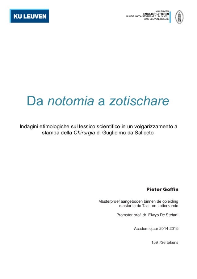 Master thesis ku leuven picture