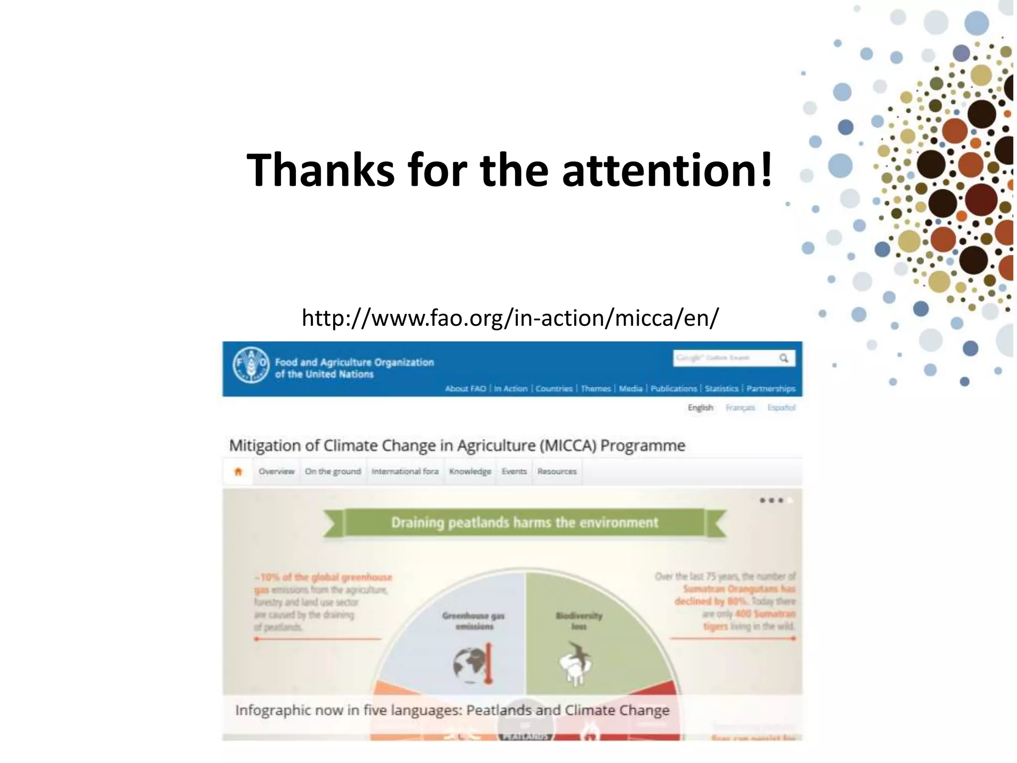 Thanks for the attention!
http://www.fao.org/in-action/micca/en/
 