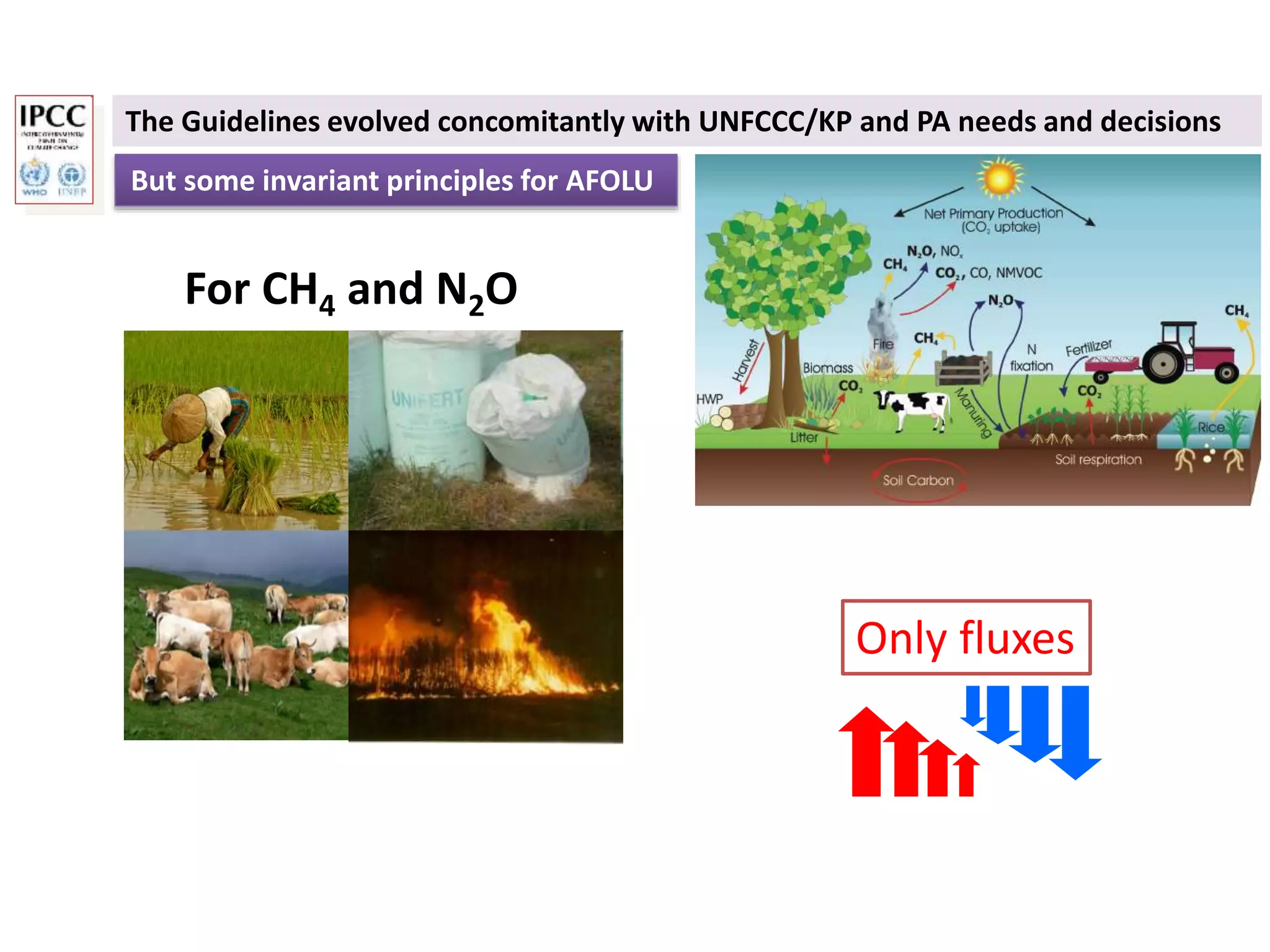The Guidelines evolved concomitantly with UNFCCC/KP and PA needs and decisions
But some invariant principles for AFOLU
For CH4 and N2O
Only fluxes
 