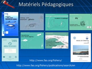 MatérielsMatériels PédagogiquesPédagogiques
http://www.fao.org/fishery/publications/search/en
http://www.fao.org/fishery/
 