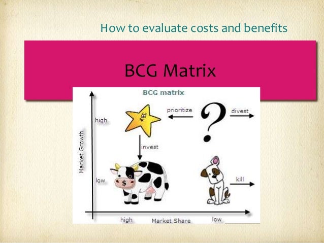 Sample business case analysis report image