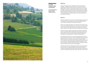 47
DESIGN RITUALS
Il gusto
di progettare
l’esperienza
Cristina Napoleone
Mauro Olivieri
Guilherme Rosa
PREMESSA
Il luogo nel luogo è come un’Italia nel mondo,un Piemonte
nell’Italia,un Monferrato nel Piemonte,una Valle Cerrina nel
Monferrato un’”Aura”in Valle Cerrina. Questo è per noi il“luogo
nel luogo”,ricostruire un sentimento che è già nel territorio per
rievocarlo,reinventarlo,farlo nostro,viverlo,proporlo e ricordarlo.
L’Esperienzialità è il gesto da vivere, è l’atto che“esperimenta”
una ritualità forte e caratterizzante di un luogo che potrà con
essa divenire identità.
OBIETTIVI
Nel’analisi abbiamo conosciuto l’incanto del Monferrato dentro
i contenuti di una tradizione dove il senso di appartenenza
e la moralità nel proprio fare emergono evidenti.
Non è così scontato ritrovare in un territorio una comune visio-
ne che nasce dalla propria storia e che continua a vivere nel pre-
sente. Da qui nascono gli spunti per rievocare e riconquistare
i valori nascosti e che spesso il tempo ha indebolito e snaturato.
L’intento dunque è quello di restituire alla tradizione del Mon-
ferrato un proprio valore identificativo che nasca da tutti quei
gesti semplici che fanno parte della quotidianità attraverso
il progetto e la riproposizione in chiave contemporanea.
Per trasformare l’incanto in una concreta esperienza che resti
nella memoria di chi la vive e di chi la propone è necessario dare
degli strumenti che aiutino a comunicare il proprio valore,
a connettere tra loro le attività e ad avere particolare attenzione
per i particolari. I dettagli quali piccoli gesti ed attenzioni che
oltre a rievocare mnemonicamente il valore rimangono meglio
impressi nella memoria al ritorno dal viaggio.
Crediamo dunque che il Monferrato abbia una forte potenziali-
tà di costruirsi una propria identità riconoscibile e divenire
il luogo internazionale del vivere l’esperienzialità in Italia attra-
verso la ritualità dei luoghi, delle genti e del vivere nel territorio.
 