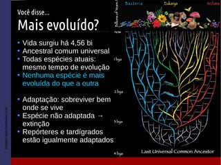 Imagem:www.crohnecolite.com.br
Imagem:epicofevolution.com
Você disse...
Mais evoluído?
Vida surgiu há 4,56 bi
Ancestral comum universal
Todas espécies atuais:
mesmo tempo de evolução
Nenhuma espécie é mais
evoluída do que a outra
Adaptação: sobreviver bem
onde se vive
Espécie não adaptada →
extinção
Repórteres e tardígrados
estão igualmente adaptados
 