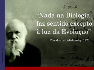 Imagem:tabletmag.com
“Nada na Biologia 
faz sentido excepto 
à luz da Evolução”
Theodosius Dobzhansky, 1973
 