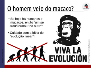 O homem veio do macaco?
Imagem:http://permanentcultures.com
● Se hoje há humanos e
macacos, então “um se
transformou” no outro?
Imagem:www.wsj.com
● Cuidado com a idéia de
“evolução linear”!
 