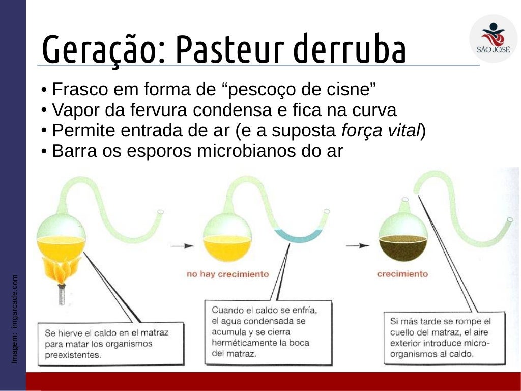 1EM 3 Método cientifico e Geração espontânea 1EM 3 Método cientifico e Geração espontânea