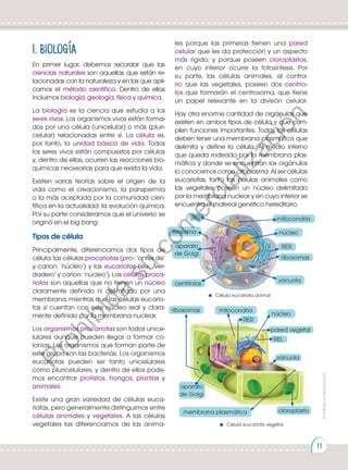 1. Biología
En primer lugar, debemos recordar que las
ciencias naturales son aquellas que están re-
lacionadas con la naturaleza y en las que apli-
camos el método científico. Dentro de ellas
incluimos biología, geología, física y química.
La biología es la ciencia que estudia a los
seres vivos. Los organismos vivos están forma-
dos por una célula (unicelular) o más (pluri-
celular) relacionadas entre sí. La célula es,
por tanto, la unidad básica de vida. Todos
los seres vivos están compuestos por células
y, dentro de ellas, ocurren las reacciones bio-
químicas necesarias para que exista la vida.
Existen varias teorías sobre el origen de la
vida como el creacionismo, la panspermia
o la más aceptada por la comunidad cien-
tífica en la actualidad: la evolución química.
Por su parte consideramos que el universo se
originó en el big bang.
Tipos de célula
Principalmente, diferenciamos dos tipos de
célula: las células procariotas (pro-: ‘antes de’
y carion: ‘núcleo’) y las eucariotas (eu-: ‘ver-
dadero’ y carion: ‘núcleo’). Las células proca-
riotas son aquellas que no tienen un núcleo
claramente definido ni delimitado por una
membrana, mientras que las células eucario-
tas sí cuentan con este núcleo real y clara-
mente definido por la membrana nuclear.
Los organismos procariotas son todos unice-
lulares aunque pueden llegar a formar co-
lonias. Los organismos que forman parte de
este grupo son las bacterias. Los organismos
eucariotas pueden ser tanto unicelulares
como pluricelulares, y dentro de ellos pode-
mos encontrar protistas, hongos, plantas y
animales.
Existe una gran variedad de células euca-
riotas, pero generalmente distinguimos entre
células animales y vegetales. A las células
vegetales las diferenciamos de las anima-
les porque las primeras tienen una pared
celular que les da protección y un aspecto
más rígido; y porque poseen cloroplastos,
en cuyo interior ocurre la fotosíntesis. Por
su parte, las células animales, al contra-
rio que las vegetales, poseen dos centrio-
los que formarán el centrosoma, que tiene
un papel relevante en la división celular.
Hay otra enorme cantidad de orgánulos que
existen en ambos tipos de célula y que cum-
plen funciones importantes. Todas las células
deben tener una membrana plasmática que
delimita y define la célula. Al medio interno
que queda rodeado por la membrana plas-
mática y donde se encuentran los orgánulos
lo conocemos como citoplasma. Al ser células
eucariotas, tanto las células animales como
las vegetales poseen un núcleo delimitado
por la membrana nuclear y en cuyo interior se
encuentra el material genético hereditario.
pared vegetal
cloroplasto
membrana plasmática
aparato
de Golgi
REL
vacuola
RER
ribosomas mitocondria
núcleo
REL
RER
lisosoma
vacuola
ribosomas
centríolos
núcleo
mitocondria
aparato
de Golgi
Célula eucariota animal
Célula eucariota vegetal
Prohibida
su
reproducción
11
P
r
o
h
i
b
i
d
a
s
u
c
o
m
e
r
c
i
a
l
i
z
a
c
i
ó
n
 