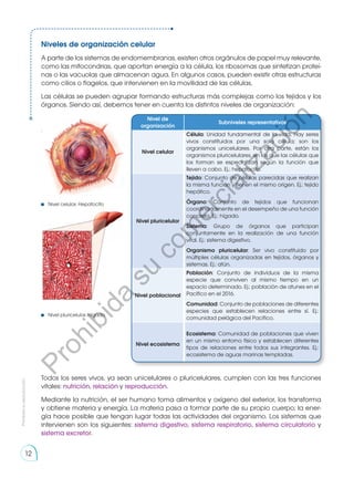 Niveles de organización celular
A parte de los sistemas de endomembranas, existen otros orgánulos de papel muy relevante,
como las mitocondrias, que aportan energía a la célula, los ribosomas que sintetizan proteí-
nas o las vacuolas que almacenan agua. En algunos casos, pueden existir otras estructuras
como cilios o flagelos, que intervienen en la movilidad de las células.
Las células se pueden agrupar formando estructuras más complejas como los tejidos y los
órganos. Siendo así, debemos tener en cuenta los distintos niveles de organización:
.
Todos los seres vivos, ya sean unicelulares o pluricelulares, cumplen con las tres funciones
vitales: nutrición, relación y reproducción.
Mediante la nutrición, el ser humano toma alimentos y oxígeno del exterior, los transforma
y obtiene materia y energía. La materia pasa a formar parte de su propio cuerpo; la ener-
gía hace posible que tengan lugar todas las actividades del organismo. Los sistemas que
intervienen son los siguientes: sistema digestivo, sistema respiratorio, sistema circulatorio y
sistema excretor.
Nivel de
organización
Subniveles representativos
Nivel celular
Célula: Unidad fundamental de la vida. Hay seres
vivos constituidos por una sola célula; son los
organismos unicelulares. Por otra parte, están los
organismos pluricelulares, en los que las células que
los forman se especializan según la función que
lleven a cabo. Ej.: hepatocito.
Nivel pluricelular
Tejido: Conjunto de células parecidas que realizan
la misma función y tienen el mismo origen. Ej.: tejido
hepático.
Órgano: Conjunto de tejidos que funcionan
coordinadamente en el desempeño de una función
concreta. Ej.: hígado.
Sistema: Grupo de órganos que participan
conjuntamente en la realización de una función
vital. Ej.: sistema digestivo.
Organismo pluricelular: Ser vivo constituido por
múltiples células organizadas en tejidos, órganos y
sistemas. Ej.: atún.
Nivel poblacional
Población: Conjunto de individuos de la misma
especie que conviven al mismo tiempo en un
espacio determinado. Ej.: población de atunes en el
Pacífico en el 2016.
Comunidad: Conjunto de poblaciones de diferentes
especies que establecen relaciones entre sí. Ej.:
comunidad pelágica del Pacífico.
Nivel ecosistema
Ecosistema: Comunidad de poblaciones que viven
en un mismo entorno físico y establecen diferentes
tipos de relaciones entre todos sus integrantes. Ej.:
ecosistema de aguas marinas templadas.
Nivel celular. Hepatocito
Nivel pluricelular. Hígado
Prohibida
su
reproducción
12
P
r
o
h
i
b
i
d
a
s
u
c
o
m
e
r
c
i
a
l
i
z
a
c
i
ó
n
 