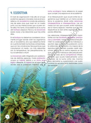 nicho ecológico hace referencia al papel
que cumple una especie en el ecosistema.
A la interactuación que ocurre entre los or-
ganismos que habitan en un mismo ecosis-
tema la podemos dividir entre relaciones
intraespecíficas e interespecíficas. Las pri-
meras son las que ocurren entre individuos
de la misma especie, mientras que las inte-
respecíficas se dan entre organismos de es-
pecies diferentes.
Las relaciones intraespecíficas más impor-
tantes son las familiares, gregarias, jerárqui-
cas y coloniales. Todas estas relaciones per-
miten la colaboración entre los individuos y
aportan algo positivo a la población como
la obtención de alimento o la mejora de la
reproducción. También pueden existir rela-
ciones dentro de la misma especie en las
que uno de los individuos sale perjudicado.
Este es el caso de la competencia intraes-
pecífica, que ocurre habitualmente como
resultado de la lucha entre dos machos
para demostrar su superioridad y ser quien
controla los recursos tanto territoriales como
de hembras.
4. ECosistema
El nivel de organización más alto en el que
podemos agrupar a los seres vivos es el eco-
sistema. Un ecosistema consta de poblacio-
nes de seres vivos que viven en un medio
junto con las interacciones que ocurren en-
tre ellos. Por tanto, el ecosistema es la suma
del biotopo (espacio físico) y la biocenosis
(seres vivos), y las relaciones que hay entre
ellos.
En el biotopo no debemos considerar única-
mente el lugar donde viven los organismos
de un ecosistema, sino que debemos tener
en cuenta también los factores ambientales,
que son las condiciones fisicoquímicas que
caracterizan al medio. Los más relevantes
son la temperatura, las precipitaciones, la
luz, la salinidad o el pH.
La biocenosis está integrada por poblacio-
nes de distintas especies. Cada población
ocupa un hábitat distinto y un nicho eco-
lógico diferente. El hábitat es el lugar físico
donde vive la población mientras que el
http://goo.gl/4wvoat
16
P
r
o
h
i
b
i
d
a
s
u
c
o
m
e
r
c
i
a
l
i
z
a
c
i
ó
n
 