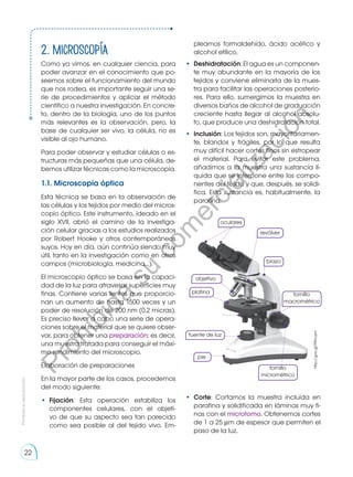2. Microscopía
Como ya vimos, en cualquier ciencia, para
poder avanzar en el conocimiento que po-
seemos sobre el funcionamiento del mundo
que nos rodea, es importante seguir una se-
rie de procedimientos y aplicar el método
científico a nuestra investigación. En concre-
to, dentro de la biología, uno de los puntos
más relevantes es la observación, pero, la
base de cualquier ser vivo, la célula, no es
visible al ojo humano.
Para poder observar y estudiar células o es-
tructuras más pequeñas que una célula, de-
bemos utilizar técnicas como la microscopía.
1.1. Microscopía óptica
Esta técnica se basa en la observación de
las células y los tejidos por medio del micros-
copio óptico. Este instrumento, ideado en el
siglo XVII, abrió el camino de la investiga-
ción celular gracias a los estudios realizados
por Robert Hooke y otros contemporáneos
suyos. Hoy en día, aún continúa siendo muy
útil, tanto en la investigación como en otros
campos (microbiología, medicina...).
El microscopio óptico se basa en la capaci-
dad de la luz para atravesar superficies muy
finas. Contiene varias lentes que proporcio-
nan un aumento de hasta 1500 veces y un
poder de resolución de 200 nm (0,2 micras).
Es preciso llevar a cabo una serie de opera-
ciones sobre el material que se quiere obser-
var, para obtener una preparación; es decir,
una muestra tratada para conseguir el máxi-
mo rendimiento del microscopio.
Elaboración de preparaciones
En la mayor parte de los casos, procedemos
del modo siguiente:
•	 Fijación: Esta operación estabiliza los
componentes celulares, con el objeti-
vo de que su aspecto sea tan parecido
como sea posible al del tejido vivo. Em-
pleamos formaldehído, ácido acético y
alcohol etílico.
•	 Deshidratación: El agua es un componen-
te muy abundante en la mayoría de los
tejidos y conviene eliminarla de la mues-
tra para facilitar las operaciones posterio-
res. Para ello, sumergimos la muestra en
diversos baños de alcohol de graduación
creciente hasta llegar al alcohol absolu-
to, que produce una deshidratación total.
•	 Inclusión: Los tejidos son, mayoritariamen-
te, blandos y frágiles, por lo que resulta
muy difícil hacer cortes finos sin estropear
el material. Para evitar este problema,
añadimos a la muestra una sustancia lí-
quida que se interpone entre los compo-
nentes del tejido y que, después, se solidi-
fica. Esta sustancia es, habitualmente, la
parafina.
oculares
revólver
brazo
pie
tornillo
macrométrico
fuente de luz
objetivo
platina
tornillo
micrométrico
•	 Corte: Cortamos la muestra incluida en
parafina y solidificada en láminas muy fi-
nas con el microtomo. Obtenemos cortes
de 1 a 25 μm de espesor que permiten el
paso de la luz.
http://goo.gl/P9mJzm
Prohibida
su
reproducción
22
P
r
o
h
i
b
i
d
a
s
u
c
o
m
e
r
c
i
a
l
i
z
a
c
i
ó
n
 