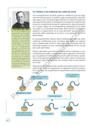 5.2. Pasteur y los matraces de cuello de cisne
Con el experimento de Redi, quedó en evidencia que los orga-
nismos macroscópicos no podían surgir por generación espontá-
nea, pese a ello, durante el siglo XVIII aún se creía en la genera-
ción espontánea de los microorganismos. Según las creencias de
la época, simplemente poniendo sustancias en descomposición
en un lugar cálido, los microorganismos aparecían en el caldo
de cultivo. La controversia duró hasta 1864 cuando Louis Pasteur
presentó su experimento en el cual demostró que los microor-
ganismos están presentes en el aire y no se generan de forma
espontánea.
En sus experimentos, Pasteur utilizó matraces de cuello de cisne,
matraces modificados para conseguir que pasara el oxígeno
(solo indispensable para la vida) pero que impedían que las
bacterias pasaran ya que quedaban atrapadas en las curvas
del cuello del matraz.
Pasteur demostró que si hervía el líquido de los matraces y no se
manipulaba el cuello, no aparecía ningún organismo. Sin embar-
go, si se giraba el matraz o se rompía el cuello del mismo, apare-
cían microorganismos en el caldo de cultivo, pero no porque se
generaran espontáneamente, sino porque estos se encuentran
en el aire.
Después de este experimento, quedó claro para toda la comuni-
dad científica que los organismos no aparecían de forma repen-
tina y la teoría de la generación espontánea quedó totalmente
sin piso.
http://goo.gl/GvKdkf
Louis Pasteur (1822 - 1895)
Es uno de los científicos más
reconocidos a nivel mundial.
Además de haber realizado
el experimento que refutó
la teoría de la generación
espontánea, logró grandes
avances en el campo de la
microbiología y la química.
Fue el creador de la téc-
nica de la pasteurización,
relacionó por primera vez
los microorganismos con las
enfermedades infecciosas y
contribuyó al desarrollo de
las vacunas como método
de prevención de enferme-
dades. El Instituto Pasteur que
se inauguró en 1888 en honor
a Louis Pasteur es una de las
instituciones referentes en la
investigación de enfermeda-
des infecciosas.
cuello del frasco curvado
con calor
frasco vertical. El caldo
permanece sin microbios
caldo contaminado
con microbios
frasco inclinado
polvo y microbios
retenidos
caldo vertido en frasco
hervido del caldo
Prohibida
su
reproducción
30
P
r
o
h
i
b
i
d
a
s
u
c
o
m
e
r
c
i
a
l
i
z
a
c
i
ó
n
 