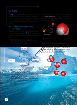 8. agua
El agua es la sustancia más abundante en
los seres vivos, ya que constituye alrededor
del 70 % de su masa. Debido a su estructu-
ra molecular, presenta propiedades que la
hacen imprescindible para el desarrollo de
la vida.
8.1.	 Composición y estructura
molecular
La molécula de agua (H2
O) está formada
por el enlace covalente entre un átomo de
oxígeno y dos de hidrógeno, y se caracteriza
por:
•	 Compartición de dos electrones: La com-
partición de electrones permite mantener
una configuración estable.
•	 Polaridad de la molécula: El oxígeno es
más electronegativo que el hidrógeno,
por lo que atrae hacia su núcleo a los
electrones del hidrógeno. Esto produce
un reparto desigual de las cargas, por lo
oxígeno
hidrógeno
agua (H2
O)
hidrógeno O
8p
8n
1p
1p
H H
Distribución de los electrones en una molécula
de agua
que la molécula de agua se convierte en
un dipolo eléctrico en el que el oxígeno
cuenta con carga negativa y los hidróge-
nos con carga positiva.
•	 Formación de puentes de hidrógeno: La
atracción entre los átomos de hidrógeno
y de oxígeno de diferentes moléculas de
agua debido a su diferencia de carga
forma un tipo de enlace débil que lo co-
nocemos como puente de hidrógeno.
&+
&+
&-
H
H
95,84 pm
104,45
0
o
Dipolo en una molécula de agua
&-
&-
&-
&-
&+
&+
&+
&+
Enlaces
débiles
Imagen
de
fondo:
http://goo.gl/z6Tgf3
Puentes de hidrógeno entre varias moléculas de agua
36
P
r
o
h
i
b
i
d
a
s
u
c
o
m
e
r
c
i
a
l
i
z
a
c
i
ó
n
 
