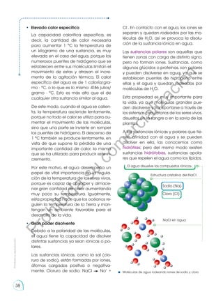 •	 Elevado calor específico
La capacidad calorífica específica, es
decir, la cantidad de calor necesaria
para aumentar 1 °C la temperatura de
un kilogramo de una sustancia, es muy
elevada en el caso del agua, porque los
numerosos puentes de hidrógeno que se
establecen entre sus moléculas limitan el
movimiento de estas y atrasan el incre-
mento de la agitación térmica. El calor
específico del agua es de 1 caloría/gra-
mo · °C, o lo que es lo mismo: 4186 julios/
gramo · °C. Esto es más alto que el de
cualquier otra sustancia similar al agua.
De este modo, cuando el agua se calien-
ta, la temperatura asciende lentamente,
porque no todo el calor se utiliza para au-
mentar el movimiento de las moléculas,
sino que una parte se invierte en romper
los puentes de hidrógeno. El descenso de
1 °C también se produce lentamente, en
vista de que supone la pérdida de una
importante cantidad de calor, la misma
que se ha utilizado para producir este in-
cremento.
Por este motivo, el agua desempeña un
papel de vital importancia en la regula-
ción de la temperatura de los seres vivos,
porque es capaz de absorber y almace-
nar gran cantidad de calor aumentando
muy poco su temperatura. Igualmente,
esta propiedad hace que los océanos re-
gulen la temperatura de la Tierra y man-
tengan un ambiente favorable para el
desarrollo de la vida.
•	 Gran poder disolvente
Debido a la polaridad de las moléculas,
el agua tiene la capacidad de disolver
distintas sustancias ya sean iónicas o po-
lares.
Las sustancias iónicas, como la sal (clo-
ruro de sodio), están formadas por iones,
átomos cargados positiva o negativa-
mente. Cloruro de sodio: NaCl Na+
+
--
--
--
--
--
--
--
--
-- --
--
--
--
--
--
--
--
--
--
--
-- --
+
+
+
+
+ +
+
+ +
+
+
+
+
+
+
+ +
+
+
+ +
+
+
+
+
+
+
+
+
-- +
+
--
--
--
--
--
--
--
--
--
--
-- --
--
--
--
--
--
--
--
--
--
--
-- --
+
+
+
+
+ +
+
+ +
+
+
+
+
+
+
+ +
+
+
+
+ +
+
+
+
+
+
+
+
+
-- +
+
--
--
Cl–
. En contacto con el agua, los iones se
separan y quedan rodeados por las mo-
léculas de H2
O, así se provoca la disolu-
ción de la sustancia iónica en agua.
Las sustancias polares son aquellas que
tienen zonas con carga de distinto signo,
pero no forman iones. Sustancias, como
algunos glúcidos o proteínas, son polares
y pueden disolverse en agua, ya que se
establecen puentes de hidrógeno entre
ellas y el agua y quedan rodeadas por
moléculas de H2
O.
Esta propiedad es muy importante para
la vida, ya que moléculas grandes pue-
den disolverse y transportarse a través de
los sistemas circulatorios de los seres vivos,
disueltos en la sangre o en la savia de las
plantas.
A las sustancias iónicas y polares que tie-
nen afinidad con el agua y se pueden
disolver en ella, las conocemos como
hidrófilas; pero del mismo modo existen
sustancias hidrófobas, sustancias apola-
res que repelen el agua como los lípidos.
El agua disuelve los compuestos iónicos.
Estructura cristalina del NaCI
NaCI en agua
Sodio (Na)
Cloro (CI)
Moléculas de agua rodeando iones de sodio y cloro
Prohibida
su
reproducción
38
P
r
o
h
i
b
i
d
a
s
u
c
o
m
e
r
c
i
a
l
i
z
a
c
i
ó
n
 