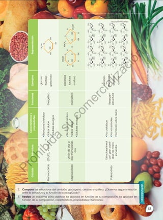 Glúcido
Estructura
Características
y
propiedades
Funciones
Ejemplos
Representación
Monosacárido
(CH
2
O)
n
=
CnH
2n
O
n
•Blancos
al
cristalizar
•Sabor
dulce
•Solubles
en
agua
Energética
glucosa
fructosa
galactosa
Oligosacárido
Unión
de
dos
a
diez
monosacári-
dos
•Blancos
al
cristalizar
•Sabor
dulce
•Solubles
en
agua
Energética
sacarosa
lactosa
maltosa
Polisacárido
Estructura
lineal
con
gran
canti-
dad
de
mono-
sacáridos
•No
cristalizan
•No
son
solubles
•No
tienen
sabor
dulce
Reserva
y
estructural
almidón
glucógeno
celulosa
quitina
https://goo.gl/N1fHFc
Actividades
2.	 Compara las estructuras del almidón, glucógeno, celulosa y quitina. ¿Observas alguna relación
entre la estructura y la función de cada glúcido?
3.	 Realiza un esquema para clasificar los glúcidos en función de su composición, los glúcidos en
función de su composición, características, propiedades y funciones.
Imagen
de
fondo:
http://goo.gl/1PhihJ
53
P
r
o
h
i
b
i
d
a
s
u
c
o
m
e
r
c
i
a
l
i
z
a
c
i
ó
n
 