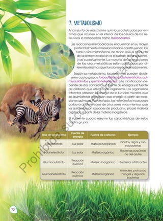 7. Metabolismo
Al conjunto de reacciones químicas catalizadas por en-
zimas que ocurren en el interior de las células de los se-
res vivos lo conocemos como metabolismo.
Las reacciones metabólicas se encuentran en su mayor
parte totalmente interrelacionadas constituyendo las
rutas o vías metabólicas, de modo que el producto
de la primera reacción es el sustrato de la siguiente,
y así sucesivamente. La mayoría de las reacciones
de las rutas metabólicas están catalizadas por di-
ferentes enzimas que funcionan coordinadamente.
Según su metabolismo, los seres vivos pueden dividir-
se en cuatro grupos: fotoautótrofos, fotoheterótrofos, qui-
mioautótrofos y quimioheterótrofos. Esta clasificación de-
pende de dos conceptos, la fuente de energía y la fuente
de carbono que utiliza cada organismo. Los organismos
fotótrofos obtienen la energía de la luz solar mientras que
los quimiotrofos consiguen esa energía a partir de reac-
ciones químicas. Por otro lado, los heterótrofos incorporan
carbono al alimentarse de otros seres vivos mientras que
los autótrofos son capaces de producir su propia materia
orgánica a partir de la materia inorgánica.
El siguiente cuadro resume las características de estos
cuatro grupos:
Tipo de organismo
Fuente de
energía
Fuente de carbono Ejemplo
Fotoautótrofo Luz solar Materia inorgánica
Plantas, algas y cia-
nobacterias
Fotoheterótrofo Luz solar Materia orgánica
Bacteriaspurpúreas
no del azufre
Quimioautótrofo
Reacción
química
Materia inorgánica Bacterias nitrificantes
Quimioheterótrofo
Reacción
química
Materia orgánica
Animales, protozoos,
hongos y algunas
bacterias
72
P
r
o
h
i
b
i
d
a
s
u
c
o
m
e
r
c
i
a
l
i
z
a
c
i
ó
n
 