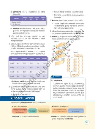 a.	Completa en tu cuaderno la tabla
siguiente:
b.	Justifica el aumento y descenso de la
glucosa en el plasma después de la in-
gestión del alimento.
4.	 ¿Por qué los enzimas pierden su ac-
tividad cuando se les somete a altas
temperaturas?
5.	 Los virus pueden tener como material ge-
nético: ADN de cadena sencilla o doble,
o ARN de cadena sencilla o doble.
	 En la siguiente tabla se indica la composi-
ción de bases nitrogenadas de cuatro virus:
—Indica y justifica qué tipo de ácido nu-
cleico tiene cada uno de los virus.
6.	 ¿Cuáles de estas estructuras de una pro-
teína suelen estar relacionadas con los
enlaces por puentes de hidrógeno?
•	 Primaria y secundaria.
Tiempo
minuto
0
minuto
30
minuto
90
minuto
150
Concentación
de glucosa
Adenina Guanina Citosina Timina Uracilo
Virus 1 30,9 19,9 19,8 29,4 ––––
Virus 2 23,3 21,1 19,8 35,8 ––––
Virus 3 23,1 20,2 29,1 –––– 34,6
Virus 4 30,8 18,6 18,6 –––– 31,7
•	 Secundaria, terciaria y cuaternaria.
•	 Primaria, secundaria, terciaria y cua-
ternaria.
7.	Razona si es correcta esta afirmación:
•	 Todas las proteínas tienen estructura
cuaternaria, pero no todas presen-
tan estructura primaria.
8.	 ¿Qué fenómeno sufren las proteínas de
un huevo cuando lo freímos? Explícalo.
9.	Indica qué tipo de estructura y qué en-
laces se observan en estas figuras.
Figura B
Figura A
10. Responde:
	 “Durante los siglos XVI y XVII era muy
común que los marineros padecieran
enfermedades relacionadas con la
falta de vitaminas como el escorbu-
to ¿Cuáles son las causas por las que
el escorbuto era tan común entre los
marineros?.
Historia
AUTOEVALUACIÓN
•	
Escribe la opinión de tu familia. •	Pide a tu profesor o profesora sugerencias
para mejorar y escríbelas.
•	
Trabajo personal
Reflexiona y autoevalúate en tu cuaderno:
•	
Trabajo en equipo
¿Qué tema me ha resultado
más fácil y cuál más difícil
de comprender?
¿He compartido con mis
compañeros y compañeras?
¿He cumplido
mis tareas?
¿He respetado las opiniones
de los demás?
¿Qué aprendí en esta
unidad temática?
81
P
r
o
h
i
b
i
d
a
s
u
c
o
m
e
r
c
i
a
l
i
z
a
c
i
ó
n
 
