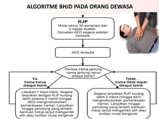 ALGORITME BHJD PADA ORANG DEWASA
 