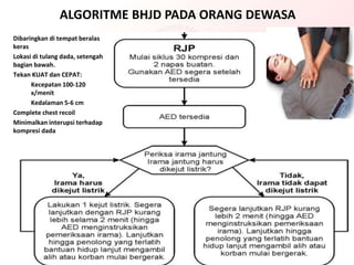 ALGORITME BHJD PADA ORANG DEWASA
Dibaringkan di tempat beralas
keras
Lokasi di tulang dada, setengah
bagian bawah.
Tekan KUAT dan CEPAT:
Kecepatan 100-120
x/menit
Kedalaman 5-6 cm
Complete chest recoil
Minimalkan interupsi terhadap
kompresi dada
 