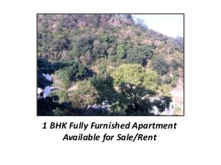 1 BHK Fully Furnished Apartment 
Available for Sale/Rent 
 