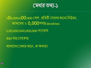 14
14
১00,000,000,000 শসল , প্ররিটিশসব্দলরজব্দনযরনউরন,
আিাব্দের ২ 0,000পয্ণন্তdendrites
১,00,000,000,000,000 সংব্দয্াগ
৫00 ব্ার/শসব্দকন্ড
আিাব্দেরশিধার অব্দন…কক্ষিিা।
 