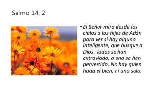 Salmo 14, 2
•El Señor mira desde los
cielos a los hijos de Adán
para ver si hay alguno
inteligente, que busque a
Dios. Todos se han
extraviado, a una se han
pervertido. No hay quien
haga el bien, ni uno solo.
 