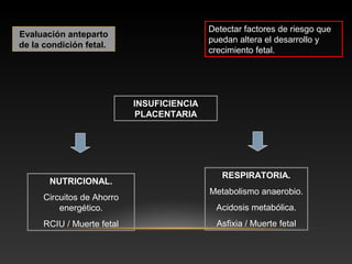 Evaluación anteparto
de la condición fetal.
Detectar factores de riesgo que
puedan altera el desarrollo y
crecimiento fetal.
INSUFICIENCIAINSUFICIENCIA
PLACENTARIAPLACENTARIA
NUTRICIONAL.
Circuitos de Ahorro
energético.
RCIU / Muerte fetal
RESPIRATORIA.
Metabolismo anaerobio.
Acidosis metabólica.
Asfixia / Muerte fetal
 