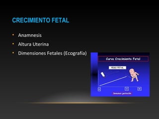 CRECIMIENTO FETALCRECIMIENTO FETAL
• Anamnesis
• Altura Uterina
• Dimensiones Fetales (Ecografía)
 