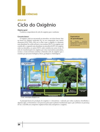 CIÊNCIaS
24
aula 04
Ciclo do Oxigênio
Expectativas
de aprendizagem
u Analisar esquemas
representativos do ciclo do oxigênio
identificando o caminho descrito
por esses elementos.
Objetivo geral
Conhecer a importância do ciclo do oxigênio para o ambiente
Conceito básico
O oxigênio pode ser encontrado na atmosfera em várias formas. Seja
na forma de oxigênio molecular O2 ou em composição com outros
elementos (CO2, NO2, SO2 etc.) o fato é que o oxigênio é o elemento
mais abundante na crosta terrestre e nos oceanos (99,5% do oxigênio está
contida ali) e o segundo mais abundante na atmosfera (0,49% do oxigênio
estão na atmosfera, os outros 0.01% estão contidos nos seres vivos). O
ciclo de transformações do oxigênio por estes reservatórios (atmosfera,
oceano e crosta terrestre) constitui o chamado ciclo do oxigênio que é
mantido por processos biológicos, físicos, geológicos e hidrológicos.
H2O (vapor)
H2O
(líquida)
Condensação(chuva)
Evaporação
O2
atmosférico CO2
atmosférico
Respiração
Transpiração
animal
Absorção
Decompositores
Morte e
decomposição
Transpiração
do solo
Ultilização por
plantas e animais
Transpiração
vegetalAssimilaçao pelos
herbívoros Planta
Fotossíntese
A principal forma de produção do oxigênio é a fotossíntese realizada por todas as plantas clorofiladas e
algumas algas. A fotossíntese é um processo pela qual as plantas transformam água e gás carbônico na presença
de luz e clorofila em compostos orgânicos bem mais energéticos e oxigênio.
Fonte: www.faqbio.blogspot.com
 
