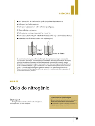 CIÊNCIaS
27
u Em cada um dos recipientes com água, mergulhe a planta aquática;
u Coloque o funil sobre a planta;
u Coloque o tubo de ensaio sobre o funil (veja a figura);
B) Disposição das montagens:
u Coloque uma montagem exposta à luz e observe.
u Coloque a outra montagem coberta de modo que não haja luz sobre ela e observe.
u Coloque o tubo de ensaio sobre o funil (veja a figura);
Os experimentos servem para evidenciar a liberação de oxigênio em montagem exposta a luz.
Discuta com os seus colegas as observações que foram feitas. Verifica-se pela produção de oxigênio
as bolhas formadas em montagem com luz. Na preparação exposta à luz, as plantas, fazendo
fotossíntese, eliminarão oxigênio que se acumulará no tubo de ensaio. Na preparação que ficou no
escuro não haverá alteração. O gás acumulado no tubo de ensaio é o oxigênio. O tubo deixado no
escuro é o controle experimental. Como as plantas expostas à luz fazem fotossíntese e as que
ficaram no escuro não fazem qualquer diferença que venha a existir entre as duas preparações só
pode ser atribuída a esse processo.
água
A B
ramos de
elódea
ramos de elódea
aula 05
Ciclo do nitrogênio
Objetivo geral
Compreender o ciclo do carbono e do nitrogênio e
sua importância no meio ambiente.
Expectativas de aprendizagem
uAnalisaresquemasrepresentativosdociclodonitrogênio
identificando o caminho descrito por esse elemento.
u Compreender o caminho do nitrogênio na natureza e as
etapas para que este chegue aos animais.
 